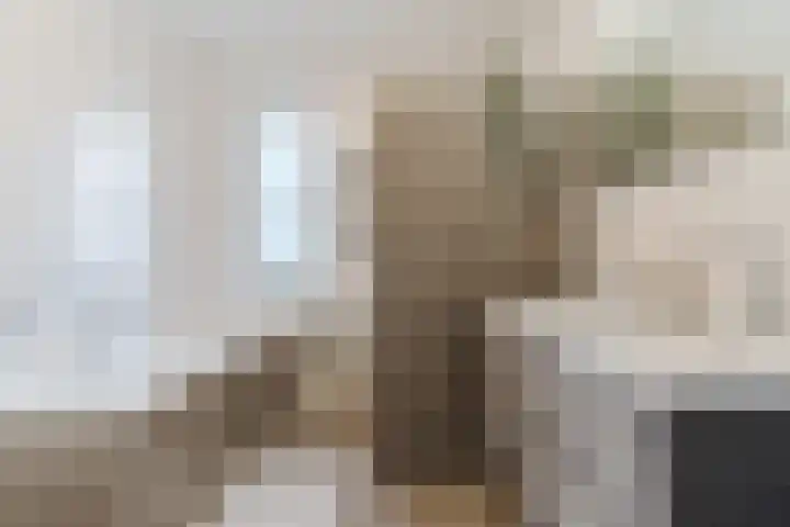 Emmastraat 16 Veghel thumbnail 27
