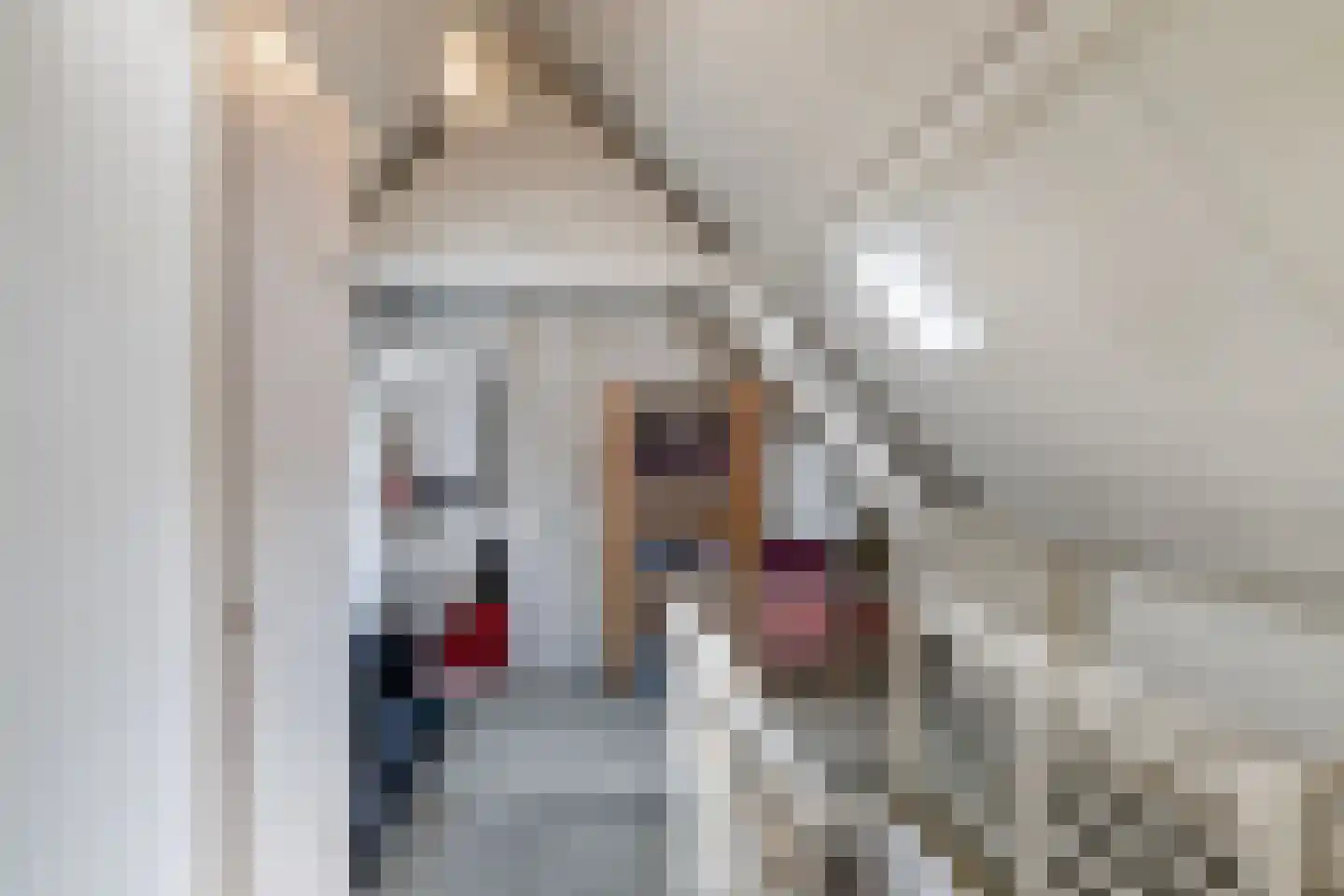 Emmastraat 16 Vlaardingen thumbnail 19