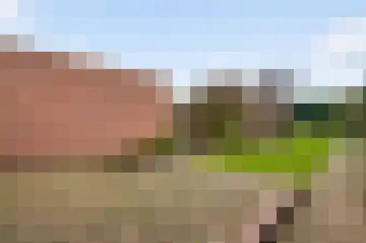 Emmastraat 17 Beek thumbnail 18