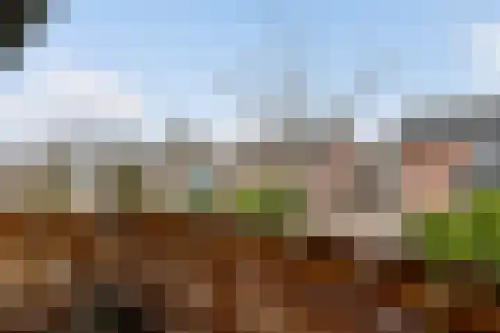 Emmastraat 17 Beek thumbnail 31
