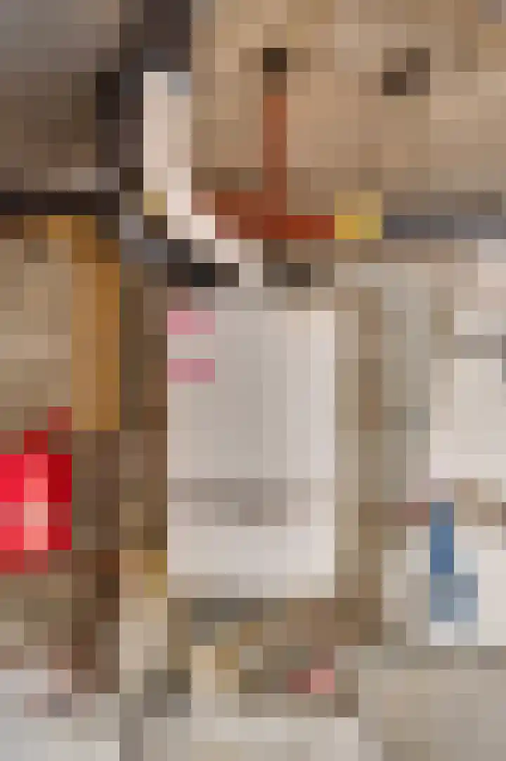 Emmastraat 17 Beek thumbnail 45