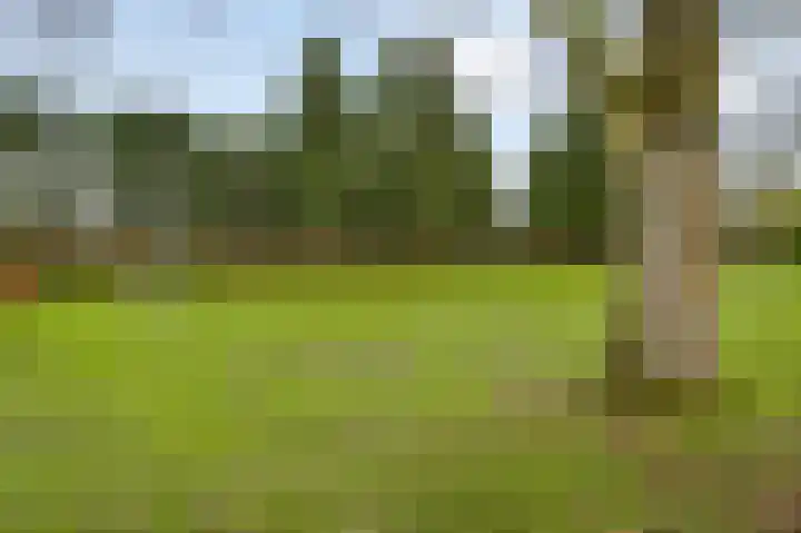Emmastraat 17 Beek thumbnail 47