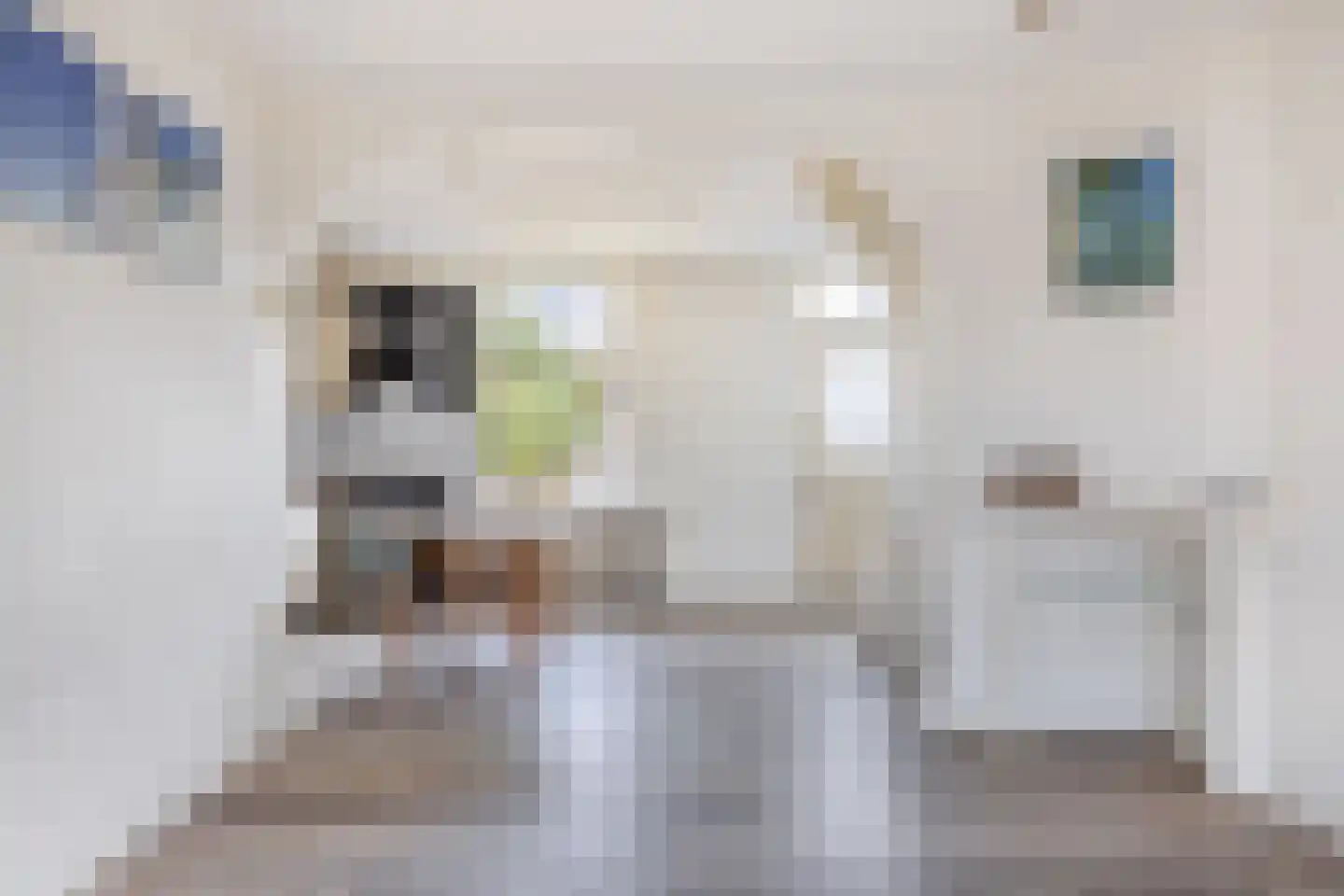 Emmastraat 17 Krommenie foto 2