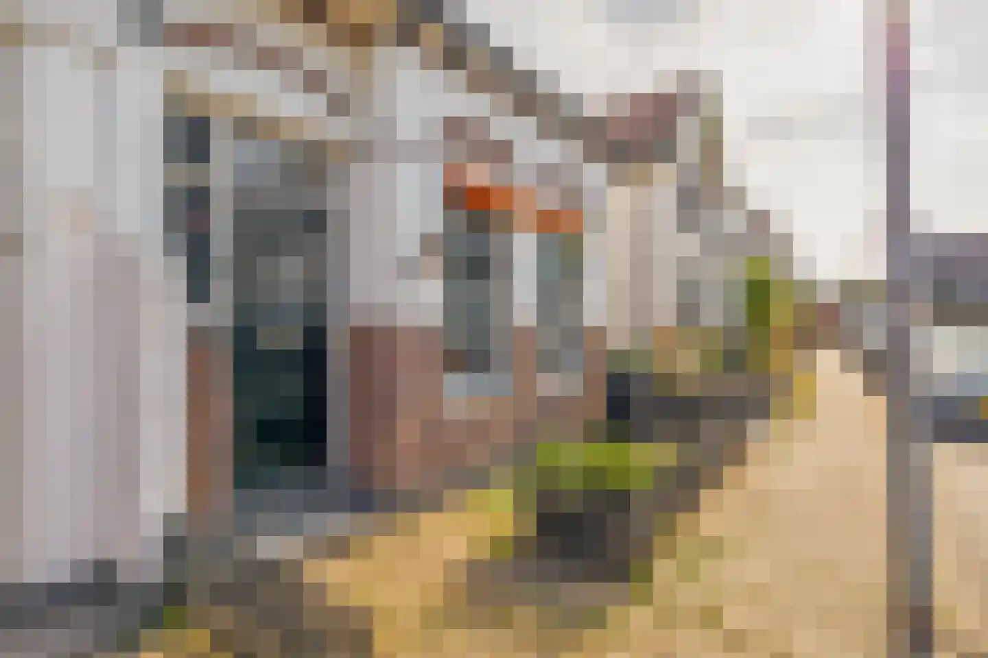 Emmastraat 17 Krommenie thumbnail 5