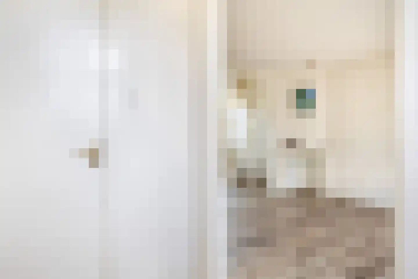 Emmastraat 17 Krommenie thumbnail 7