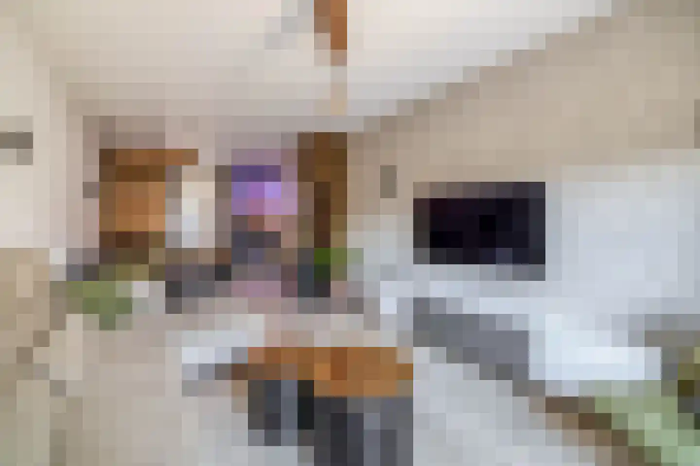 Emmastraat 17 Lisse thumbnail 4