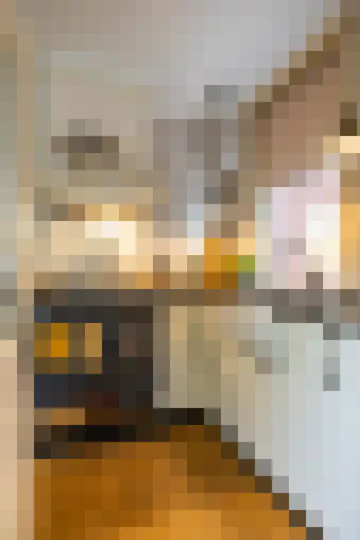 Emmastraat 18 Groningen thumbnail 13