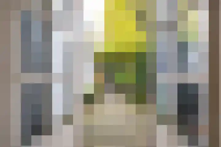 Emmastraat 18 Groningen thumbnail 21