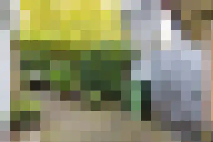 Emmastraat 18 Groningen thumbnail 22