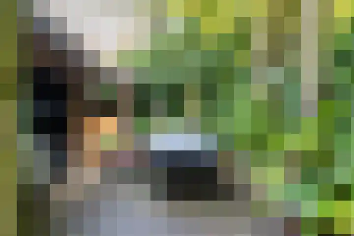 Emmastraat 18 Groningen thumbnail 24