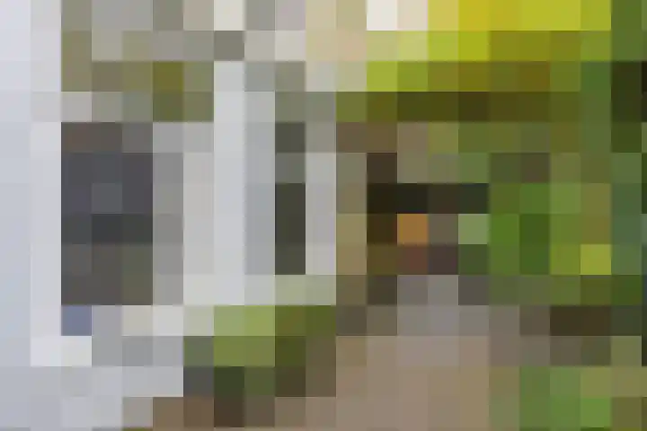 Emmastraat 18 Groningen thumbnail 36