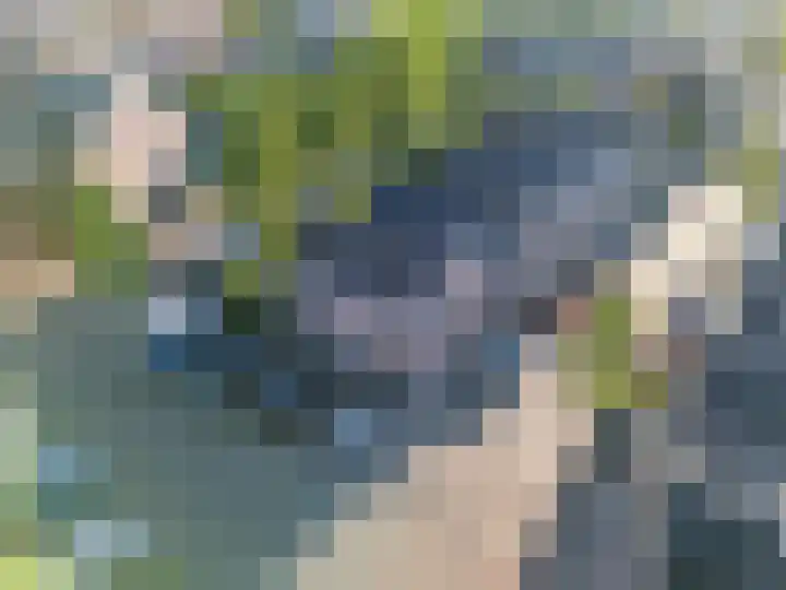 Emmastraat 18 Vlaardingen thumbnail 8