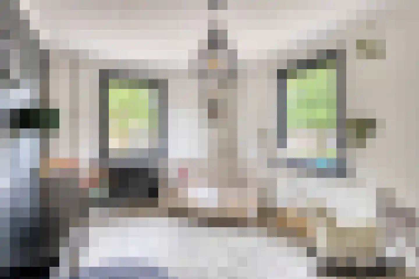 Emmastraat 19 Baarle-Nassau thumbnail 21