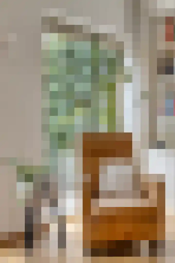 Emmastraat 19 Horst thumbnail 15