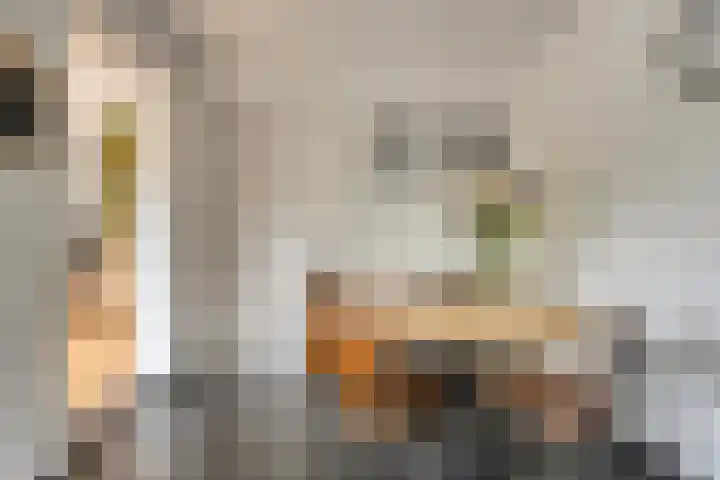 Emmastraat 19 Horst thumbnail 20