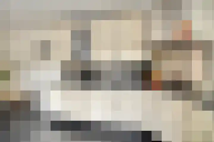 Emmastraat 19 Horst thumbnail 22