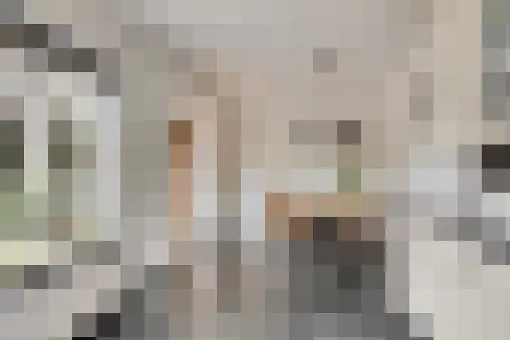 Emmastraat 19 Horst thumbnail 23