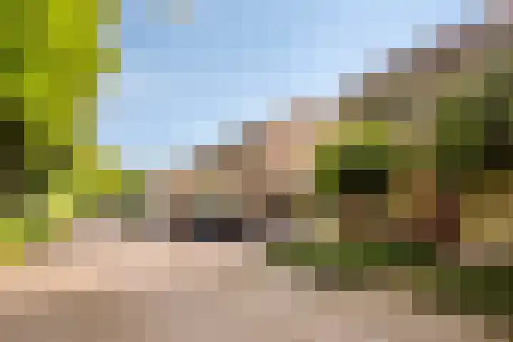 Emmastraat 19 Horst thumbnail 5