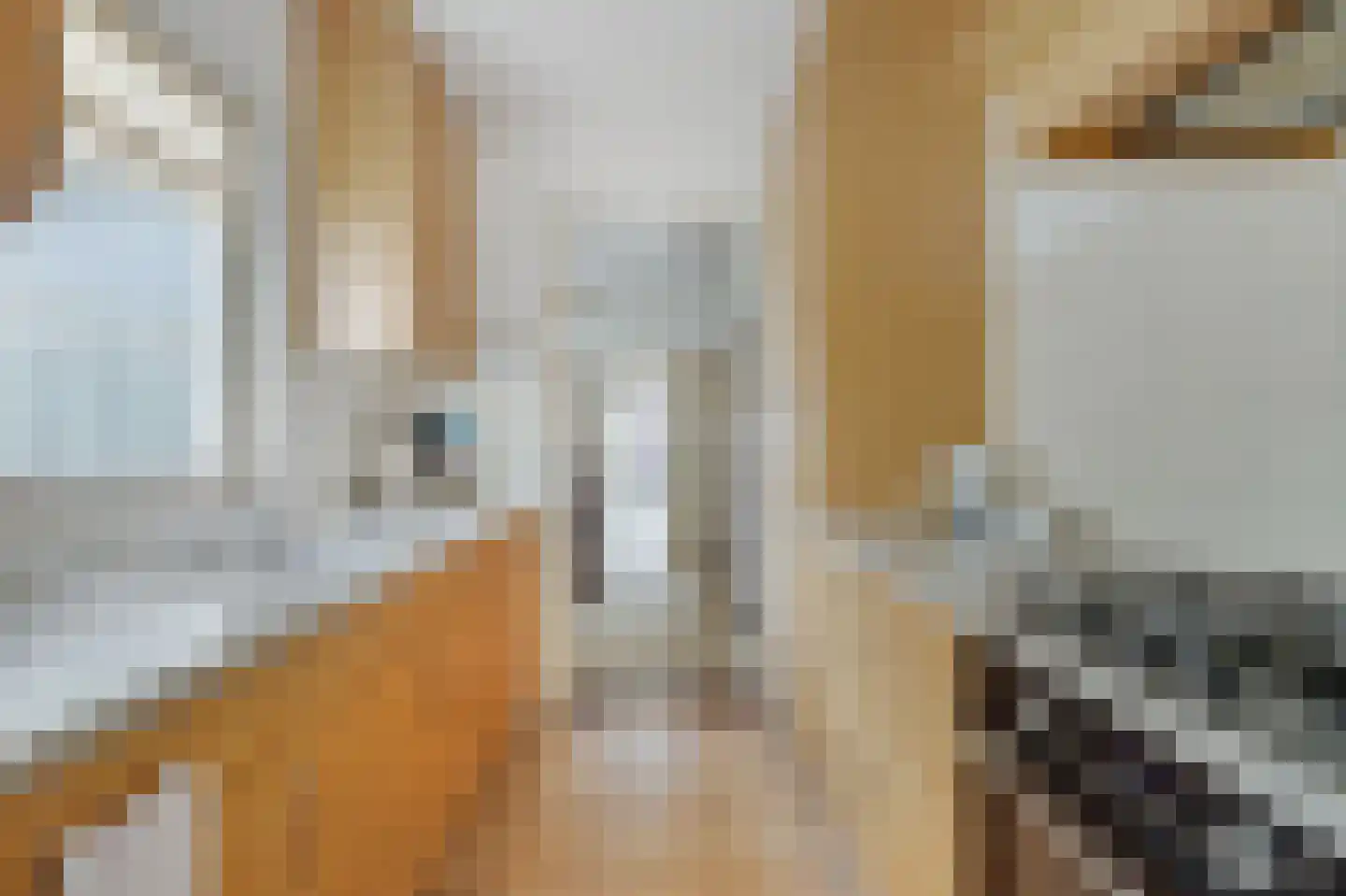 Emmastraat 19 Waalre thumbnail 15