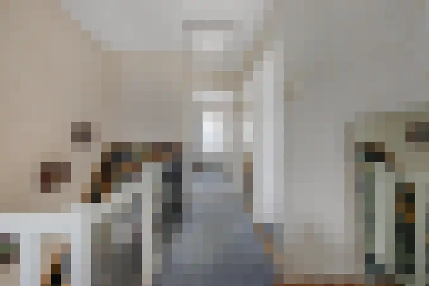 Emmastraat 19 Waalre thumbnail 19