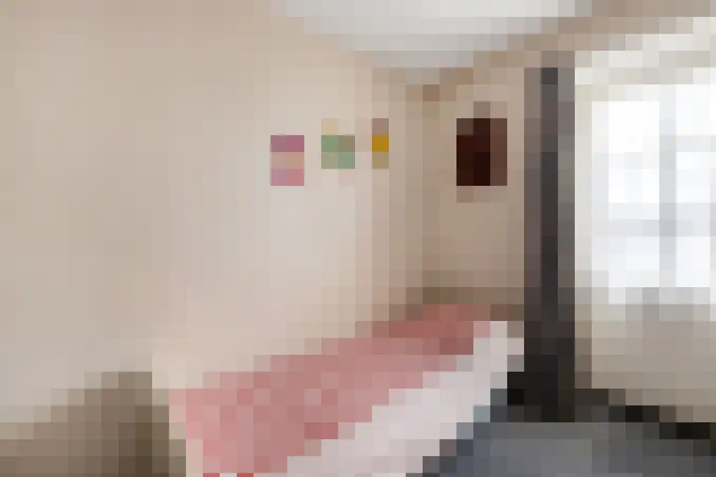 Emmastraat 19 Waalre thumbnail 24