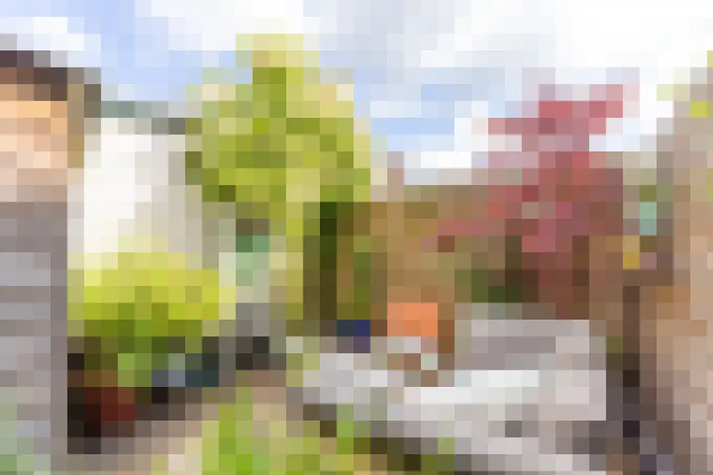 Emmastraat 19 Weesp thumbnail 31
