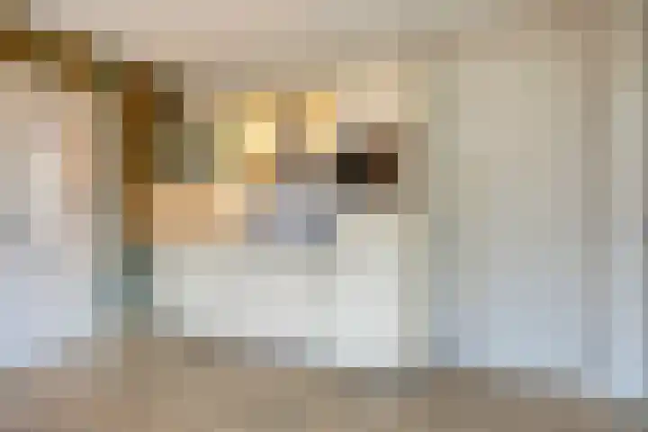 Emmastraat 2 A Aalten thumbnail 14