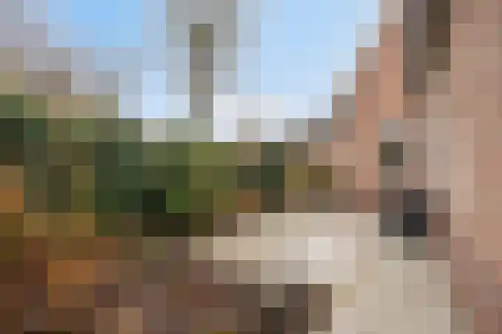 Emmastraat 2 A Aalten thumbnail 45