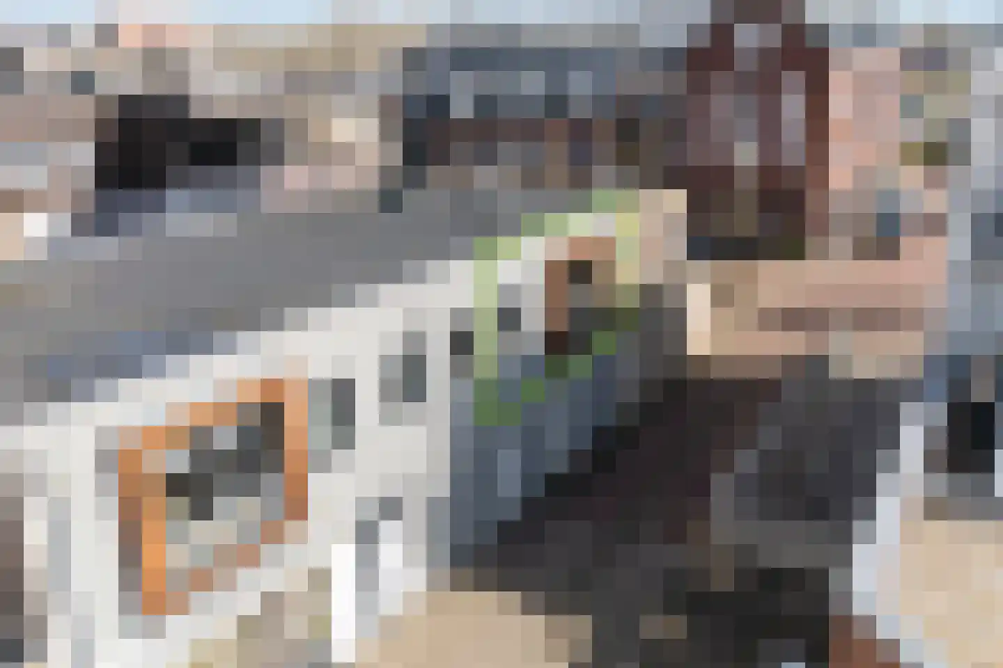 Emmastraat 2 a Beuningen Gld thumbnail 5