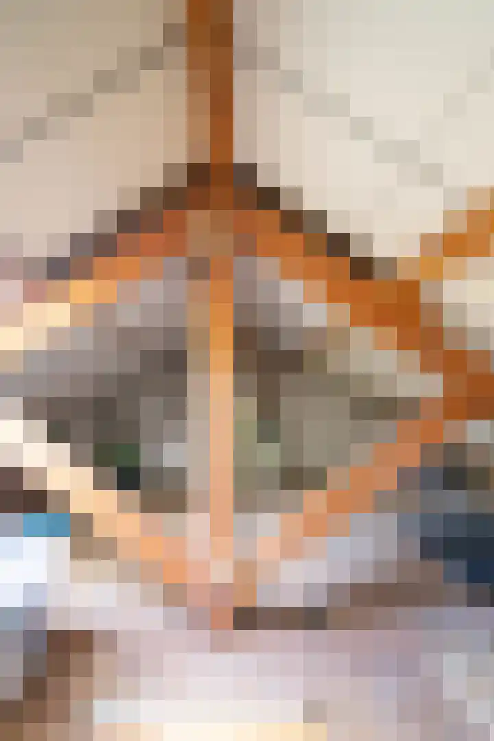 Emmastraat 2 Bakel thumbnail 30