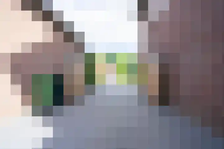 Emmastraat 2 Bakel thumbnail 40