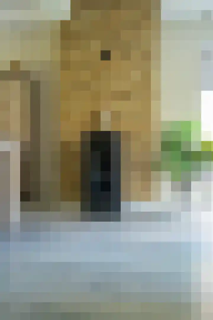 Emmastraat 2 Bakel thumbnail 8