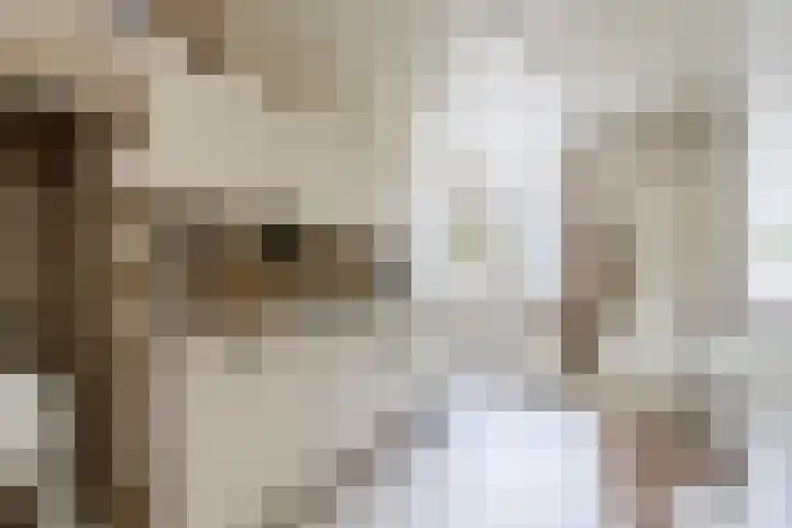 Emmastraat 2 Veen thumbnail 13
