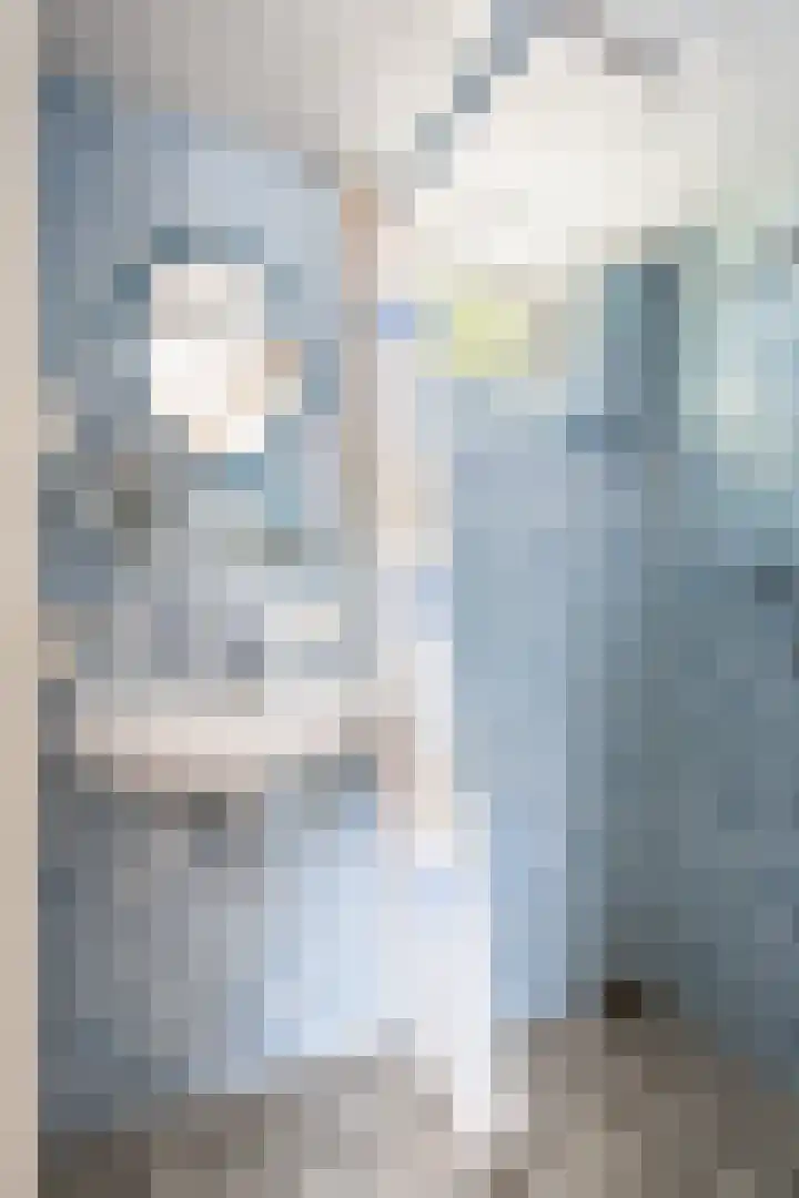 Emmastraat 2 Veen thumbnail 19