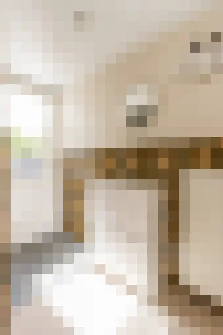 Emmastraat 2 Veen thumbnail 22