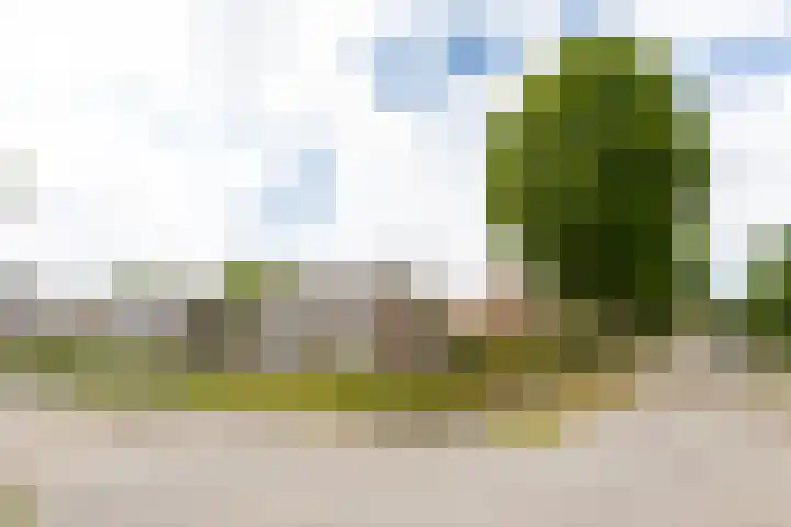 Emmastraat 2 Veen thumbnail 37
