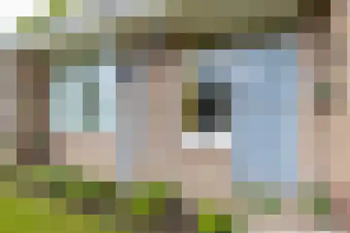 Emmastraat 2 Veen thumbnail 38