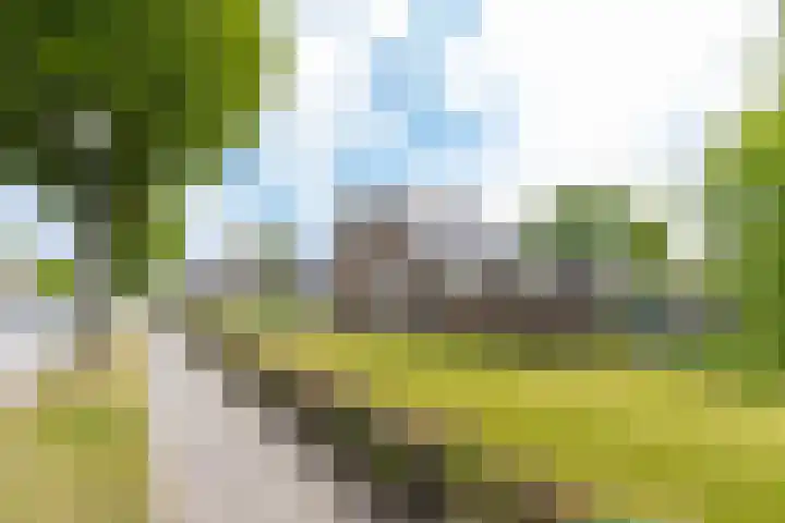 Emmastraat 2 Veen thumbnail 41