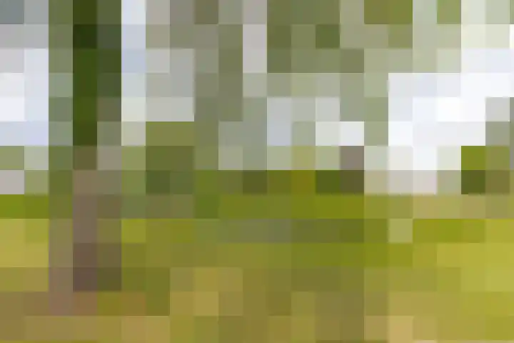 Emmastraat 2 Veen thumbnail 42