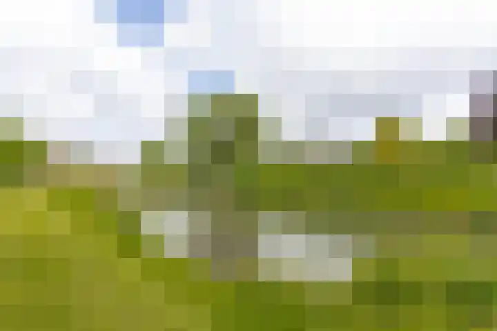 Emmastraat 2 Veen thumbnail 43