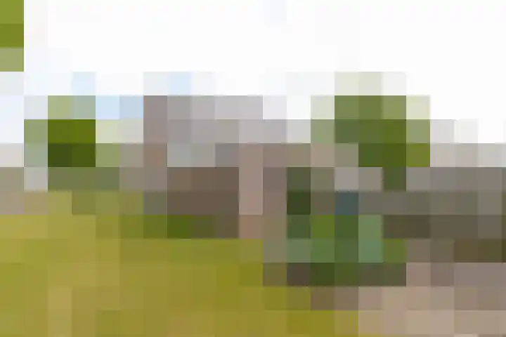 Emmastraat 2 Veen thumbnail 44