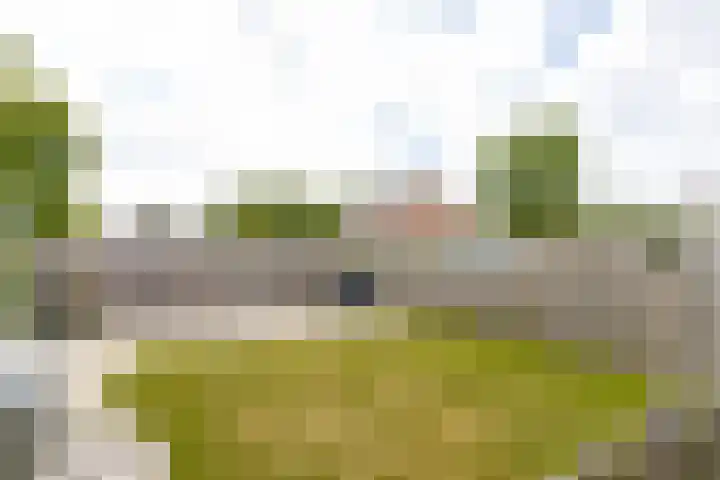 Emmastraat 2 Veen thumbnail 45