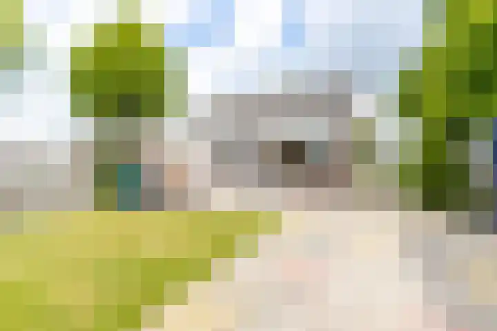 Emmastraat 2 Veen thumbnail 47