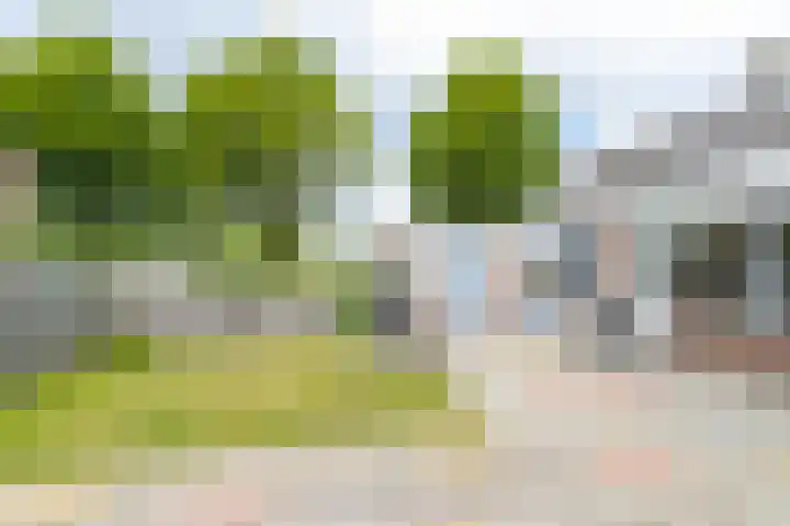 Emmastraat 2 Veen thumbnail 48