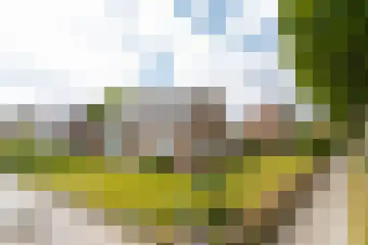 Emmastraat 2 Veen thumbnail 5