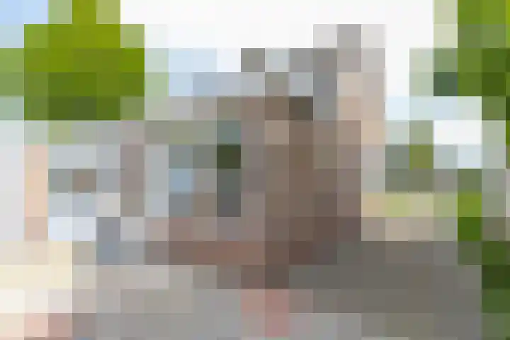 Emmastraat 2 Veen thumbnail 50