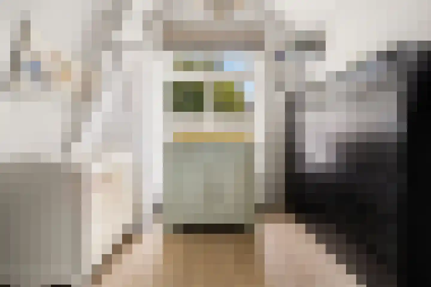 Emmastraat 2 Weesp thumbnail 23