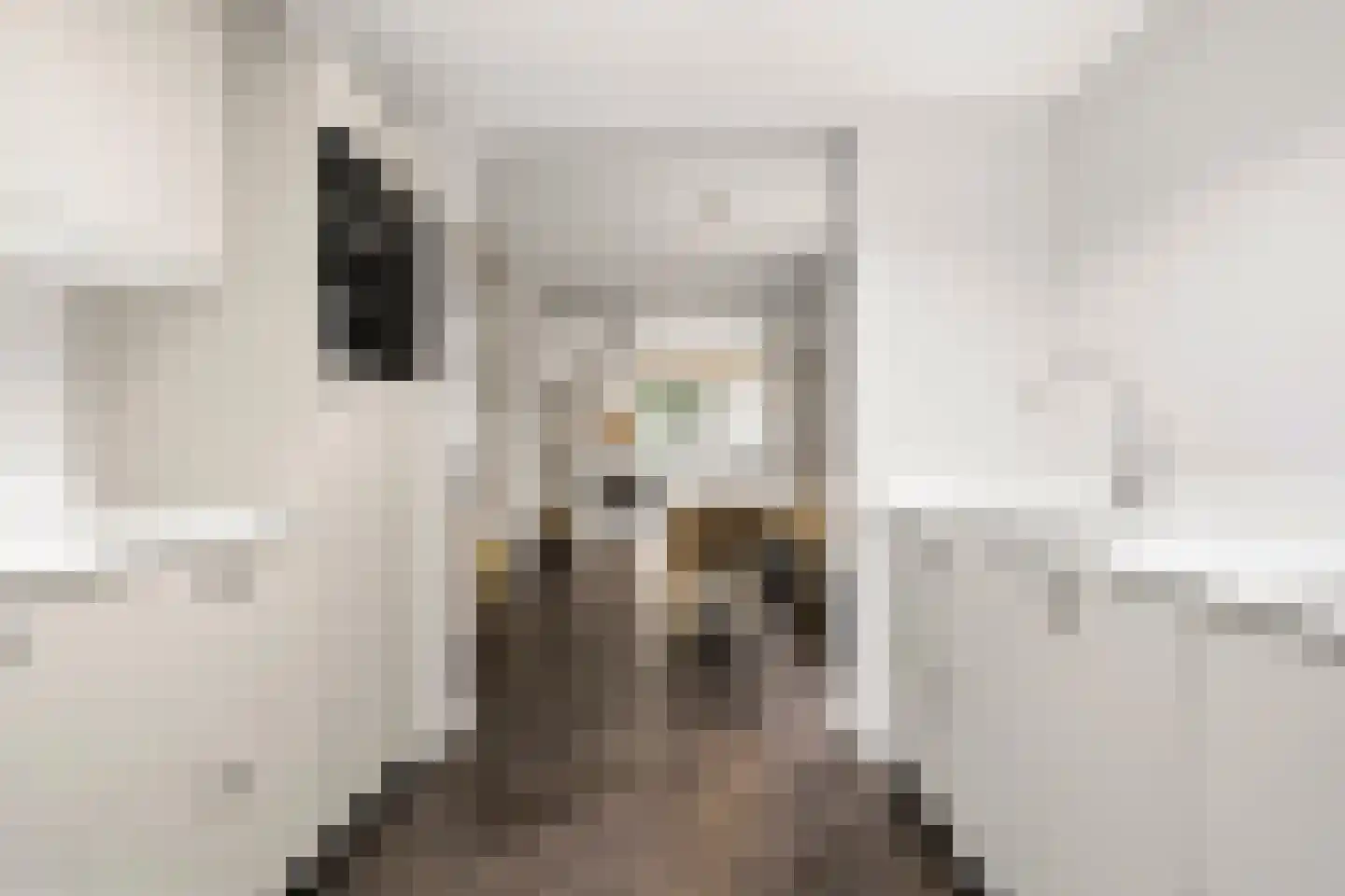 Emmastraat 2 Weesp thumbnail 6