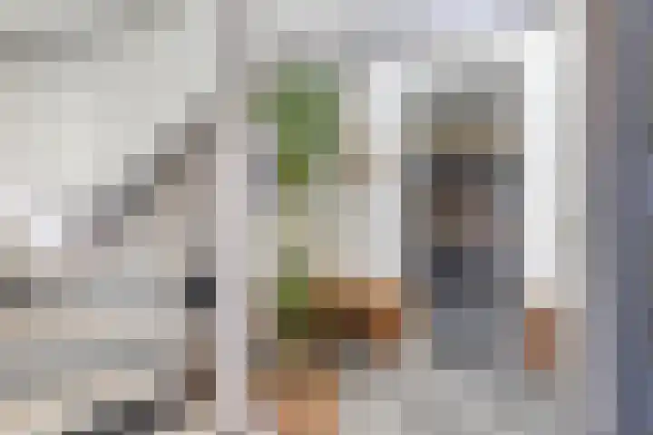 Emmastraat 20 Axel thumbnail 16