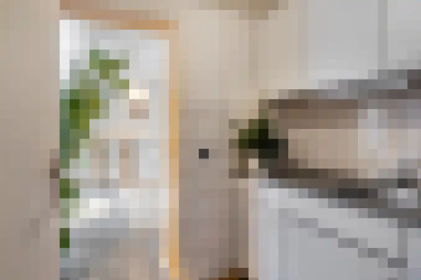 Emmastraat 20 De Lier thumbnail 10